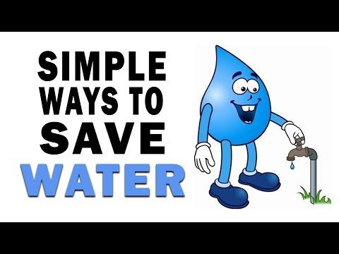 Easy Ways to Save Water in Your Yard and Garden