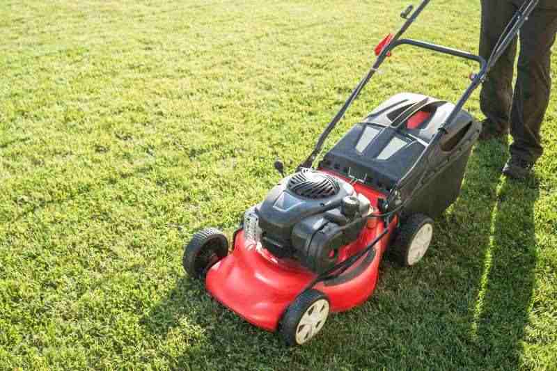 Gas Lawn Mower VS. Electric Lawn Mower: Which has better energy efficiency?